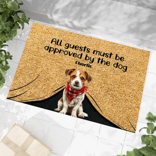 Visitors Must Be Approved By My Dog Outdoor Mat Funny Dogs Christmas Doormat