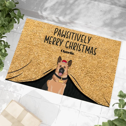 Personalized Custom Funny Dog Pun Christmas Outdoor Mat Pets Xmas Doormat